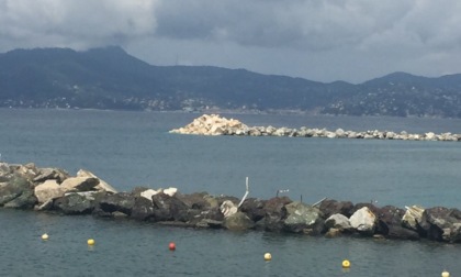 Nuovi pennelli a Chiavari, le perplessità di Emilio Cervini