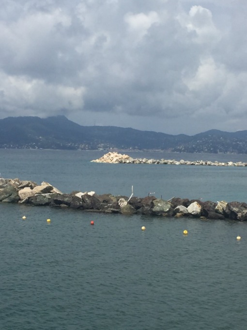 Nuovi pennelli a Chiavari, le perplessità di Emilio Cervini