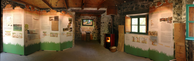 Con l’arrivo dell’estate riapre il Museo del Bosco