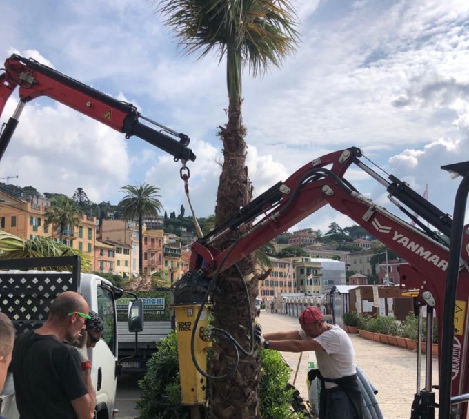 Santa Margherita Ligure, proseguono interventi sul verde pubblico