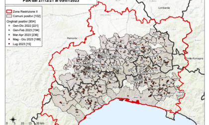 Peste suina, nuovo caso in Val Fontanabuona