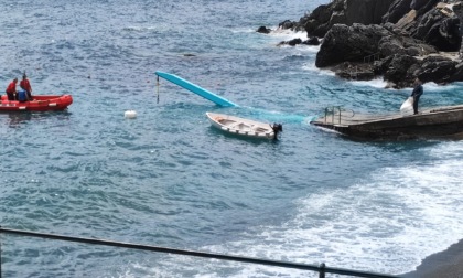 Gru in mare, divieto di balneazione a Zoagli