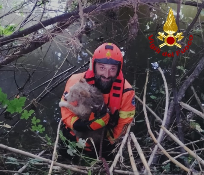 Brutta avventura (a lieto fine) per la piccola Ambra