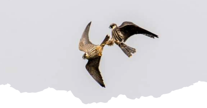 Eventi ed escursioni per un fine settimana nel Parco dell’Aveto