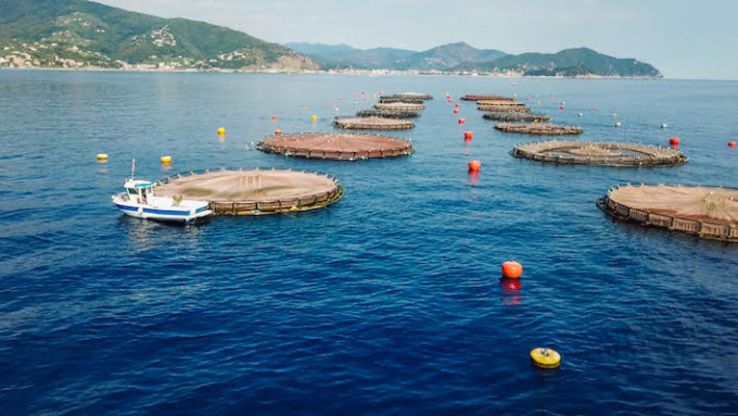 I lavoratori di Aqua de Mâ: “Siamo indignati per le dichiarazioni del sindaco sul nostro futuro”