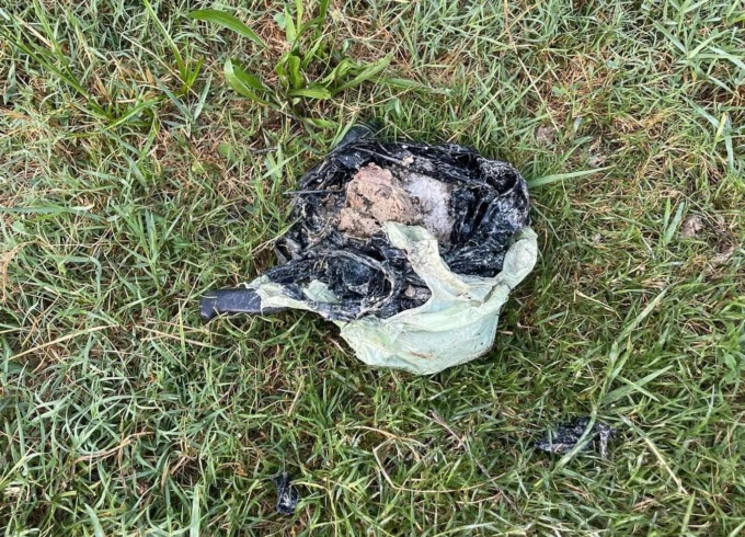 Polpette con chiodi segnalate a Rapallo