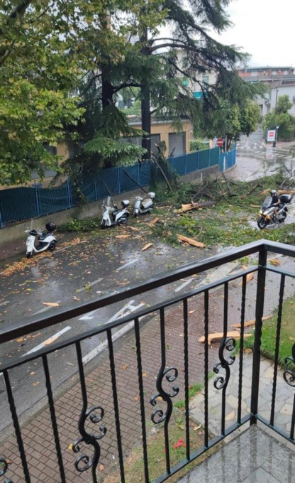 Violenta grandinata a Rapallo, rami caduti in via Sant’Anna