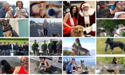 Premio Internazionale Fedeltà del Cane oggi in scena a San Rocco di Camogli