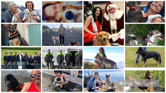 Premio Internazionale Fedeltà del Cane oggi in scena a San Rocco di Camogli