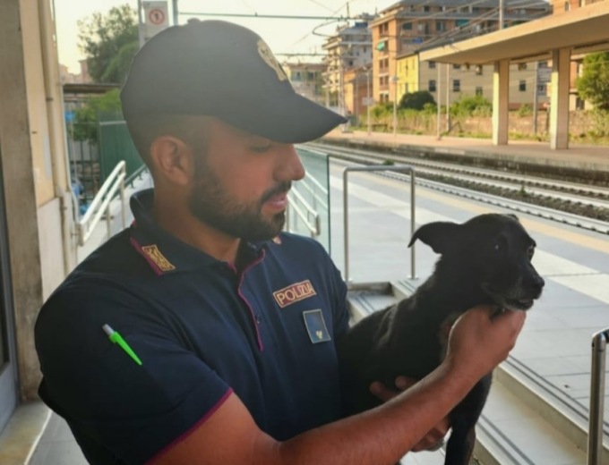 Cane smarrito ritrovato dalla Polizia alla stazione ferroviaria di Chiavari