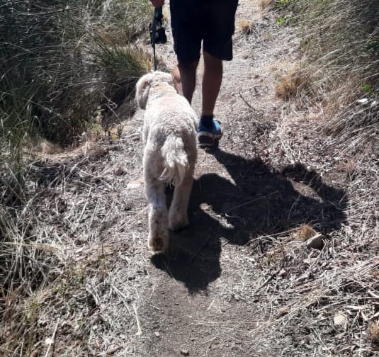 Brutta avventura per Axel: cade in un sifone profondo dieci metri