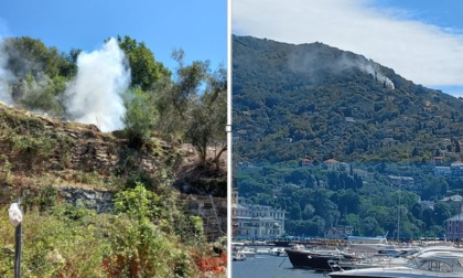 Incendi boschivi, controlli dei Carabinieri Forestali su tutta la provincia di Genova