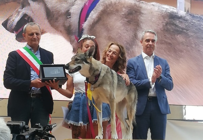 A pool cinofilo dei vigili del fuoco il Premio Fedeltà del cane