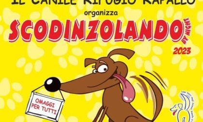 "Scodinzolando by night", la passeggiata a 6 zampe a Rapallo