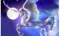 Alla scoperta del Quadrato di Pegaso con “Il Sestante”