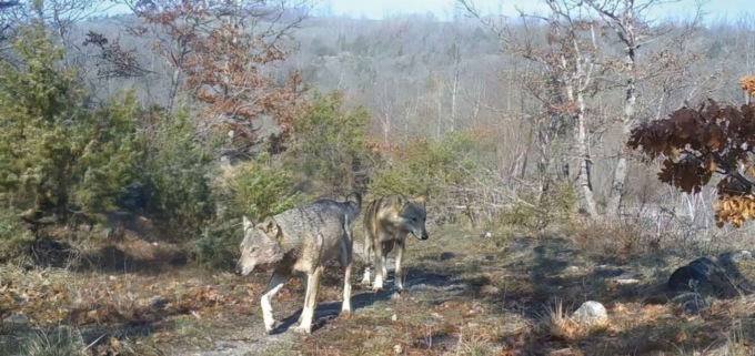 Gli eventi della settimana nelle Valli del Parco dell’Aveto
