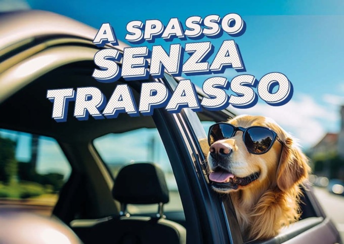 Auto second-hand? Da Autotorino a settembre conviene!