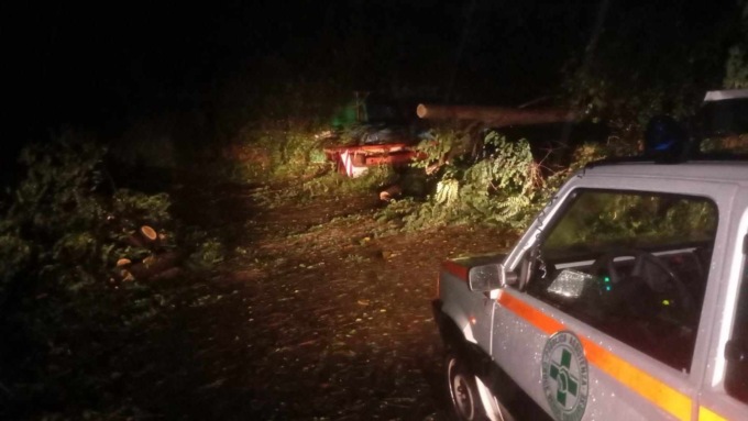 Vento forte, alberi caduti nell’entroterra