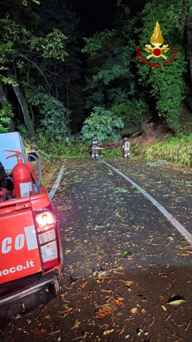 Cade albero, strada statale 586 riaperta questa mattina