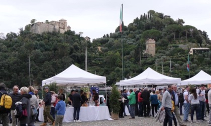 Torna l'Estate dei Santi