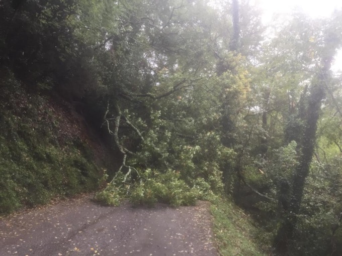 Chiusa per caduta alberi la strada tra Moconesi e Gattorna
