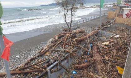 Assoutenti: "Stabilimenti distrutti, serve assicurazione obbligatoria contro rischi climatici"