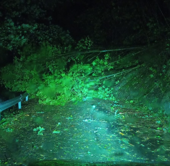Maltempo, ancora alberi caduti e problemi alla viabilità nell’entroterra
