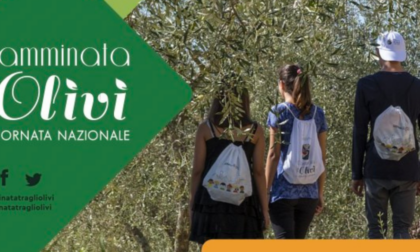 "Camminata tra gli olivi", domenica l'appuntamento promosso dalla Città dell'Olio