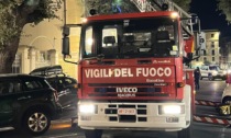 Gatto salvato dai vigili del fuoco