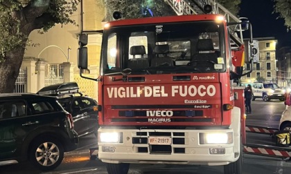 Gatto salvato dai vigili del fuoco