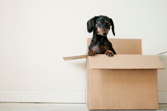 Sfruttare al meglio lo spazio: il self storage