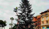 Maltempo, Santa Margherita rinvia l'accensione dell'albero di Natale