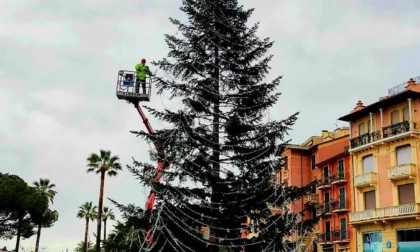Maltempo, Santa Margherita rinvia l'accensione dell'albero di Natale