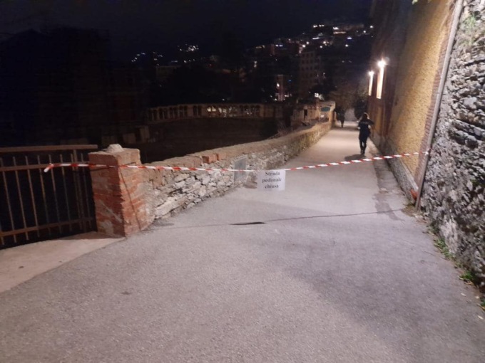 Albero pericolante, interrotta la pedonale di via Avenaggi