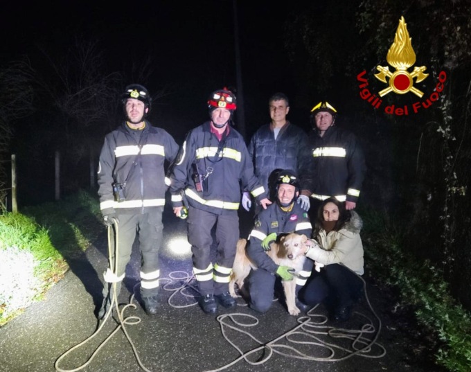 Spinone cade in un fosso, salvato dai Vigili del Fuoco