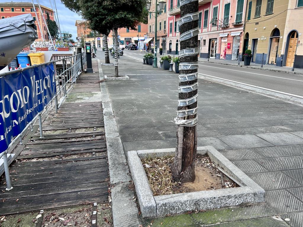 Marciapiede di via Garibaldi lato mare