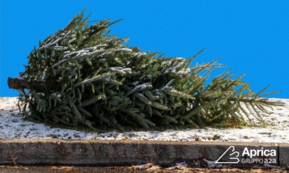 Albero di Natale da buttare? Ci pensa Aprica