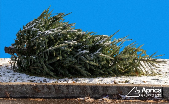 Albero di Natale da buttare? Ci pensa Aprica