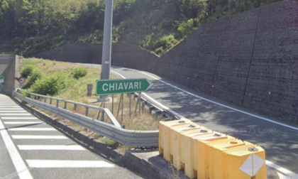 Capra in autostrada a Chiavari