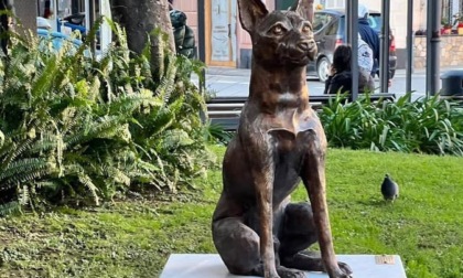 Statua del cane donata da Michele Scandroglio, polemiche a Rapallo