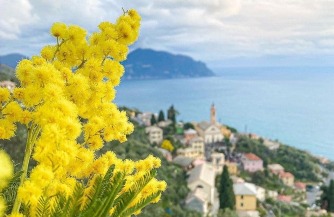 Gli appuntamenti di domenica 11 febbraio