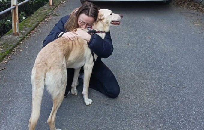 Ritrovato a Moneglia il cane Aramis