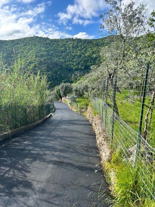 Recco, interventi per prevenire alluvioni e frane in via dell’Alloro