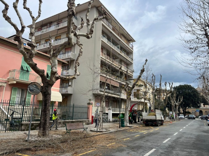 Corso Buenos Aires, iniziata la potatura dei platani