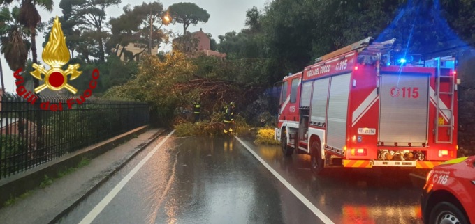 Recco, riapre a doppio senso l’Aurelia chiusa per caduta alberi