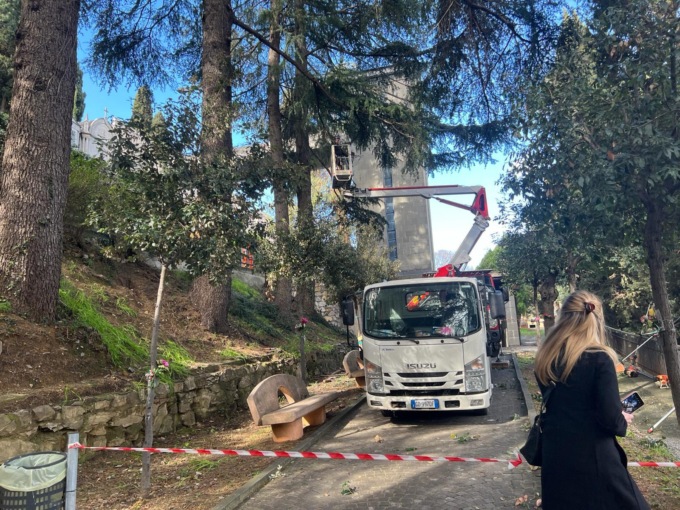 Sono partite le potature di alberi ad alto fusto a Recco