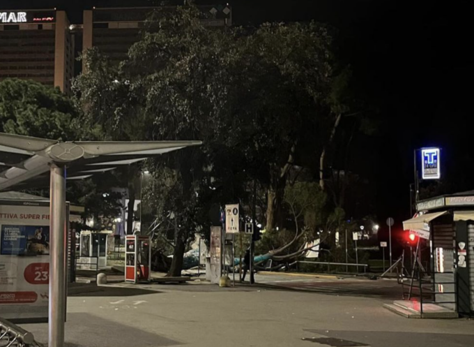 Crolla un albero davanti alla stazione di Brignole