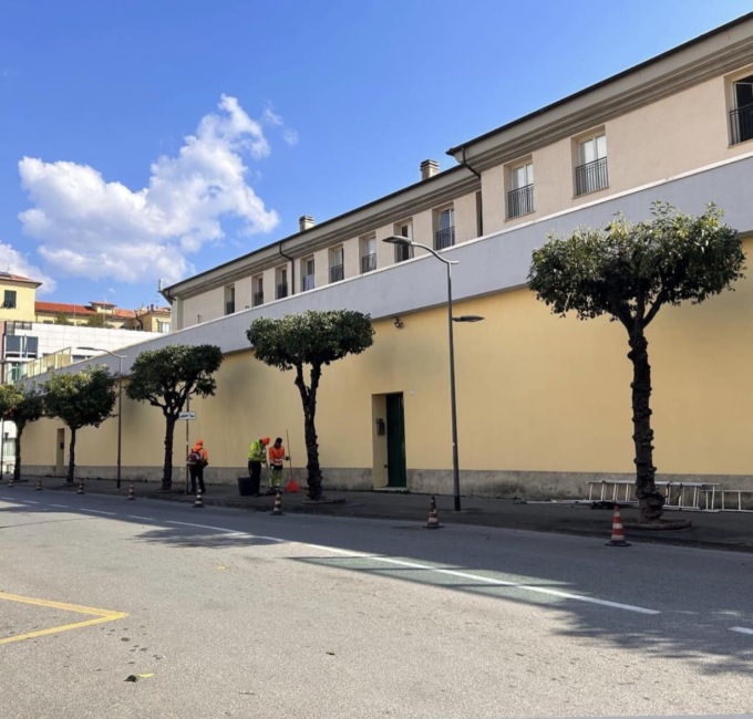 Chiavari, da lunedì 25 nuovi interventi di potatura degli aranci