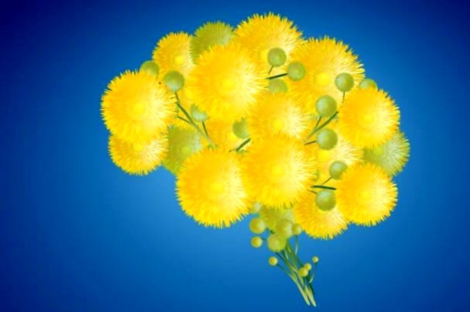 Poste Italiane, anche nel Levante un’azienda in rosa