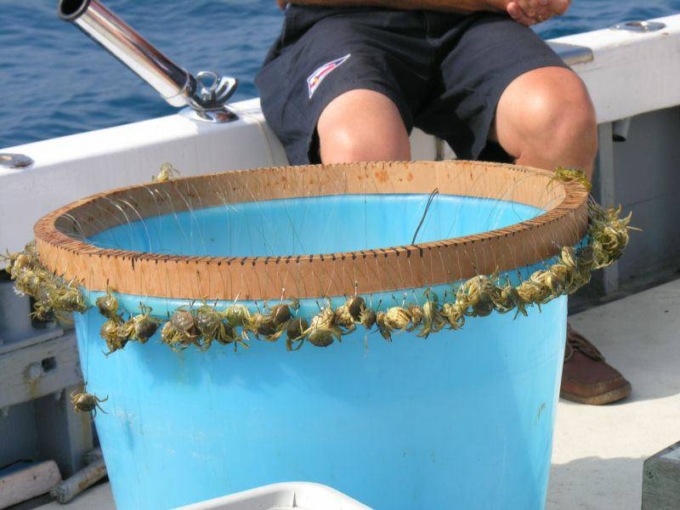Pescatori dilettanti: “Governo ritiri decreto sui palamiti”